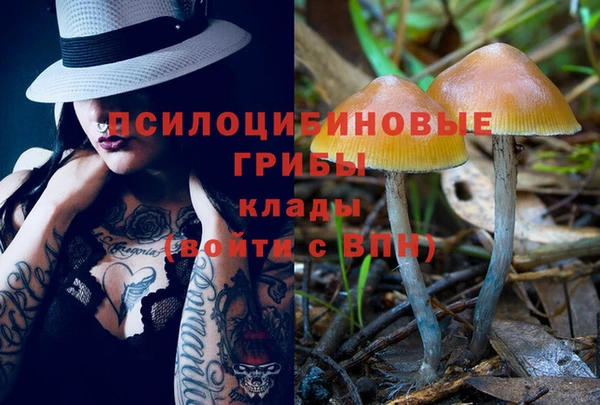 спайс Сосновый Бор