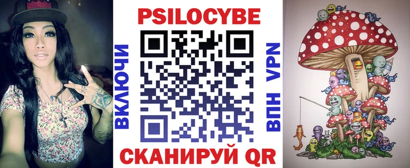 Купить закладки  Биробиджан  Псилоцибиновые грибы мухоморы 