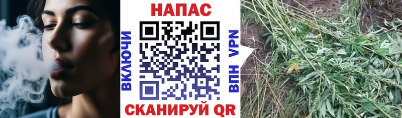 Каннабис Amnesia  Купить где  Биробиджан 